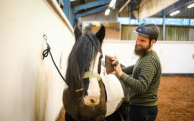 Calvert Stables launches mindfulness sessions with ponies