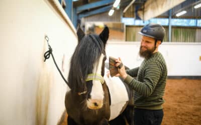 Pony Mindfulness Sessions