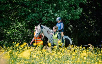 Horse Riding Breaks