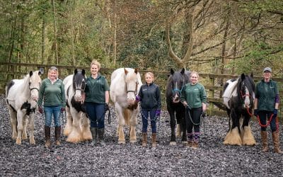 Back to ‘School’ with Calvert Stables – ready for an exciting year!