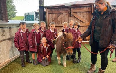 Miniature therapy ponies call into local school to say ‘Hay!’ and highlight the importance of wellbeing