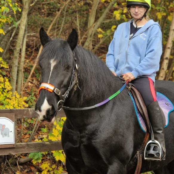 Black pony with rider and colourful tack