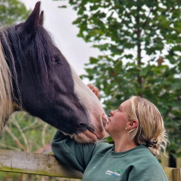 Black and white pony having a nose stroke with a stables member