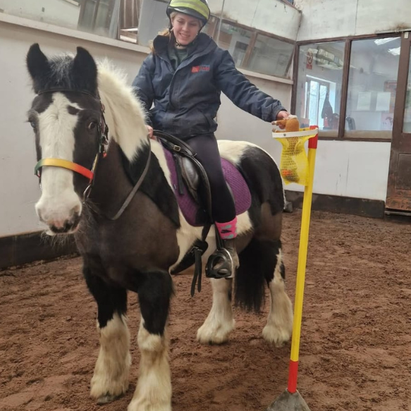 Black and white pony with rider doing a fun challenge putting things into buckets