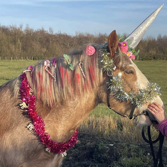 Brown and white pony dressed up as a unicorn with horn and sparkers