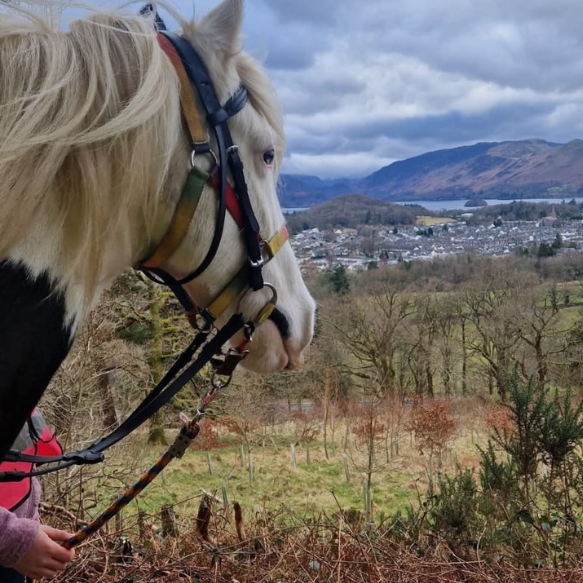 Horses head and riders hands looking out over Lake District view