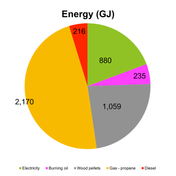 Pie chart showing energy use by type