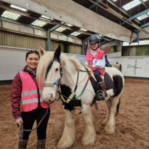 Kids Horse Riding Lessons