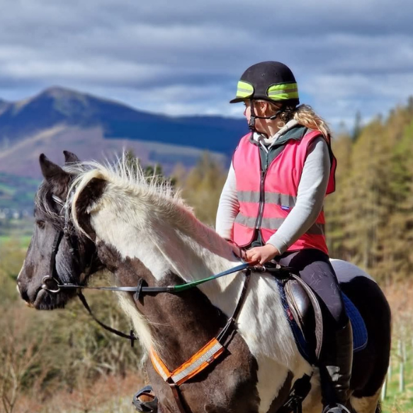Pony with rider in front of a mountain view