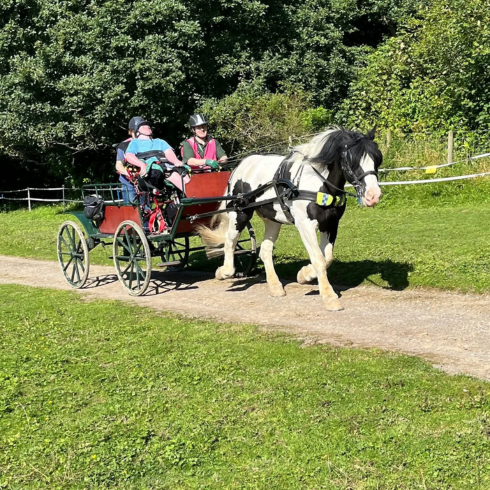 Max the pony (black and white) pulling a red carriage with a driver and passenger inside