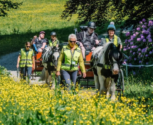 Group of volunteers in hi vis walking along side two carriages pulled by ponies surrounded by wildflowers and green trees