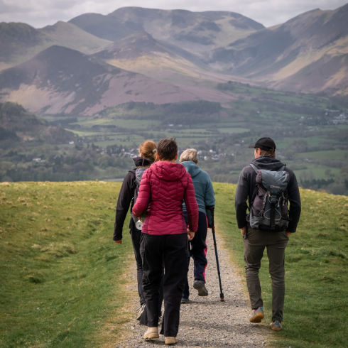 Group of walkers from behind with mountain view in the distance