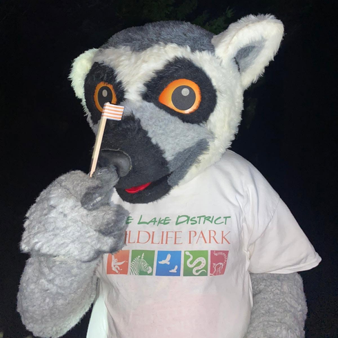 Person dressed as a Lemur wearing a Lake District Wildlife Park top