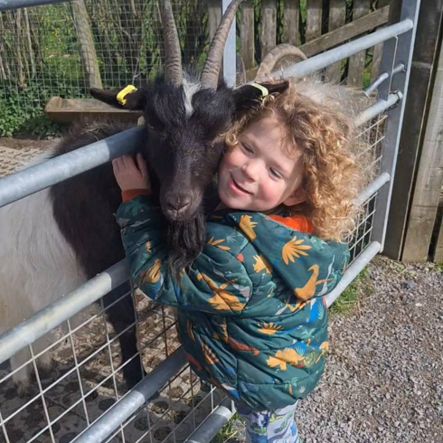 Boy hugging a goat at Lake District Wildlife Park
