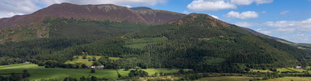 Dodd and Skiddaw